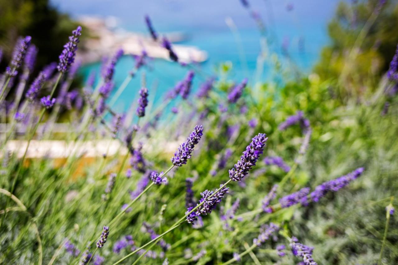 Blue Bay Residence Hvar Town Dış mekan fotoğraf