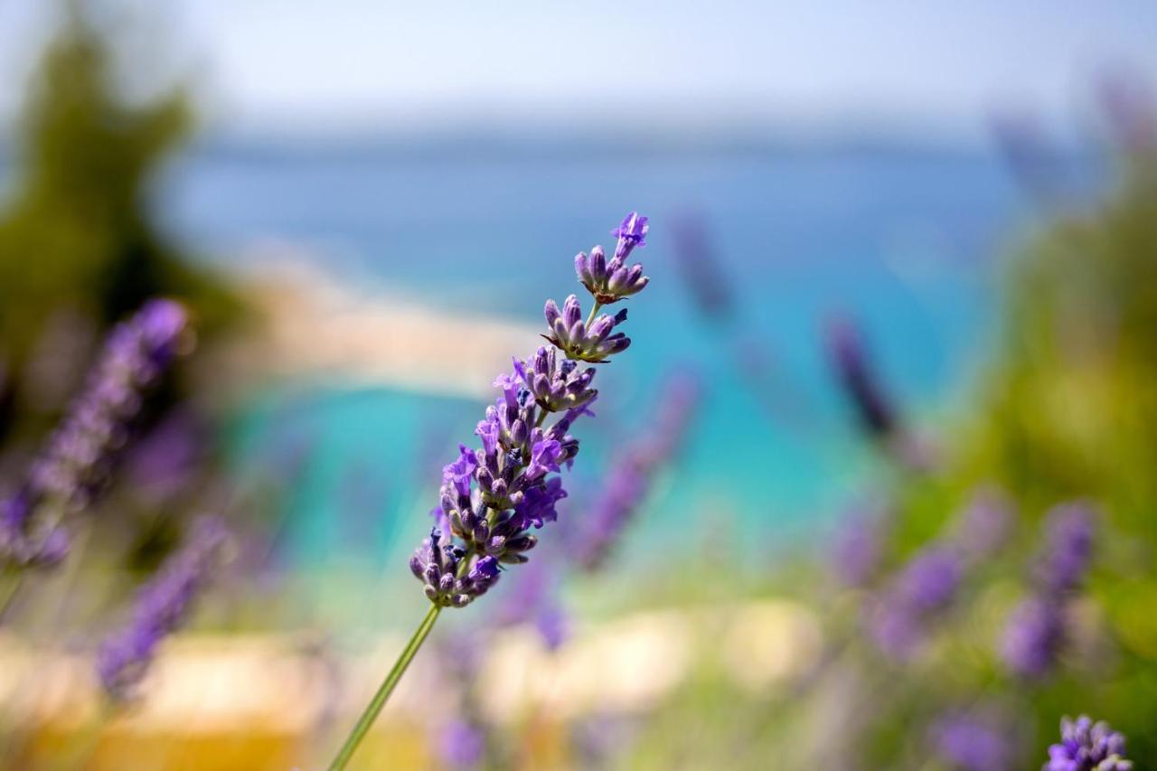 Blue Bay Residence Hvar Town Dış mekan fotoğraf